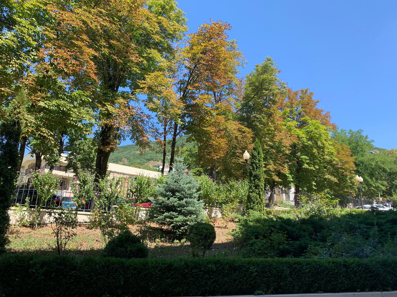 Гостиница Машук Пятигорск-187