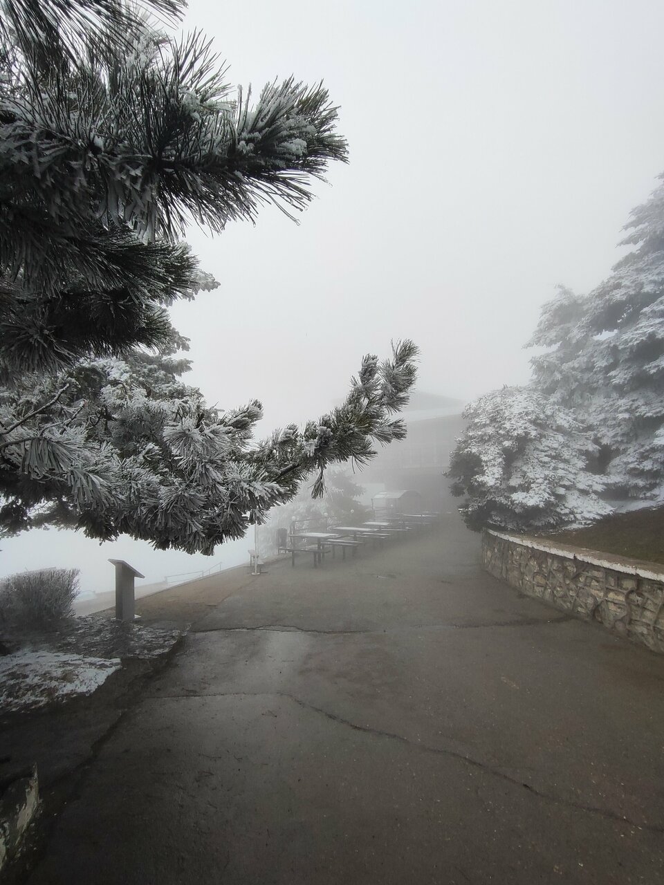 Гостиница Машук Пятигорск-159