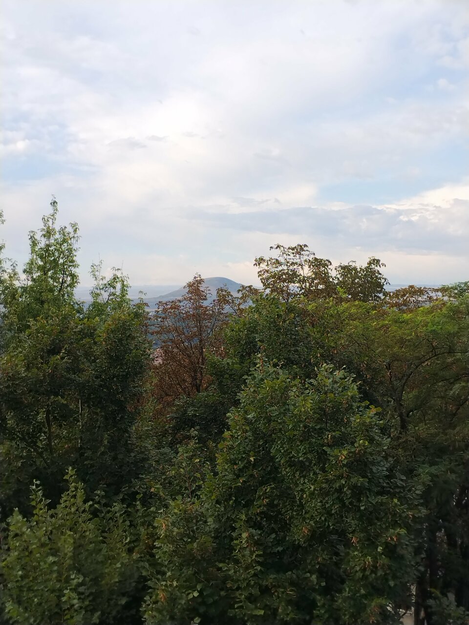 Гостиница Машук Пятигорск-251