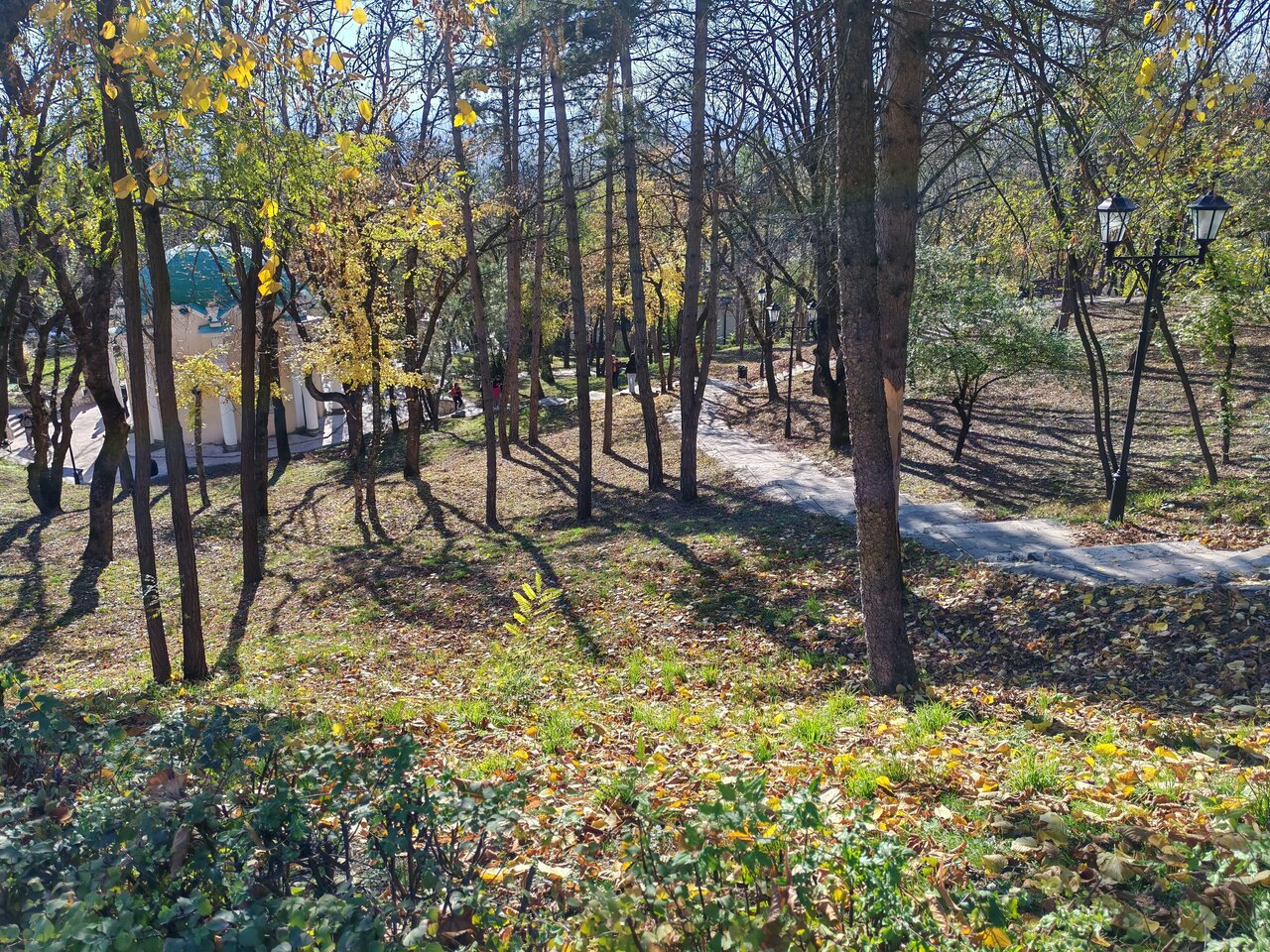 Гостиница Машук Пятигорск-239