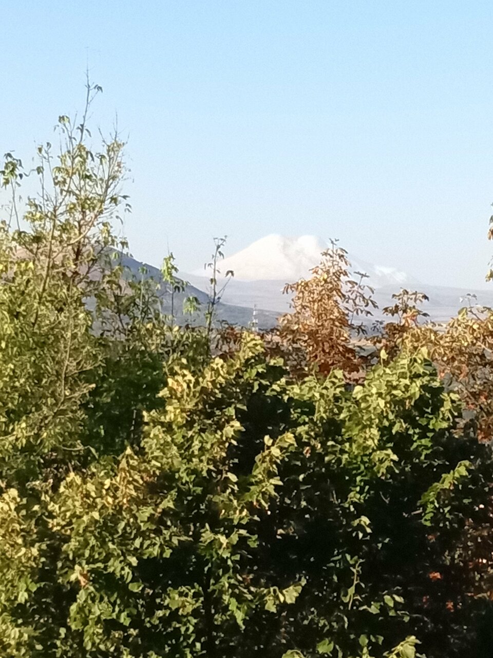 Гостиница Машук Пятигорск-196