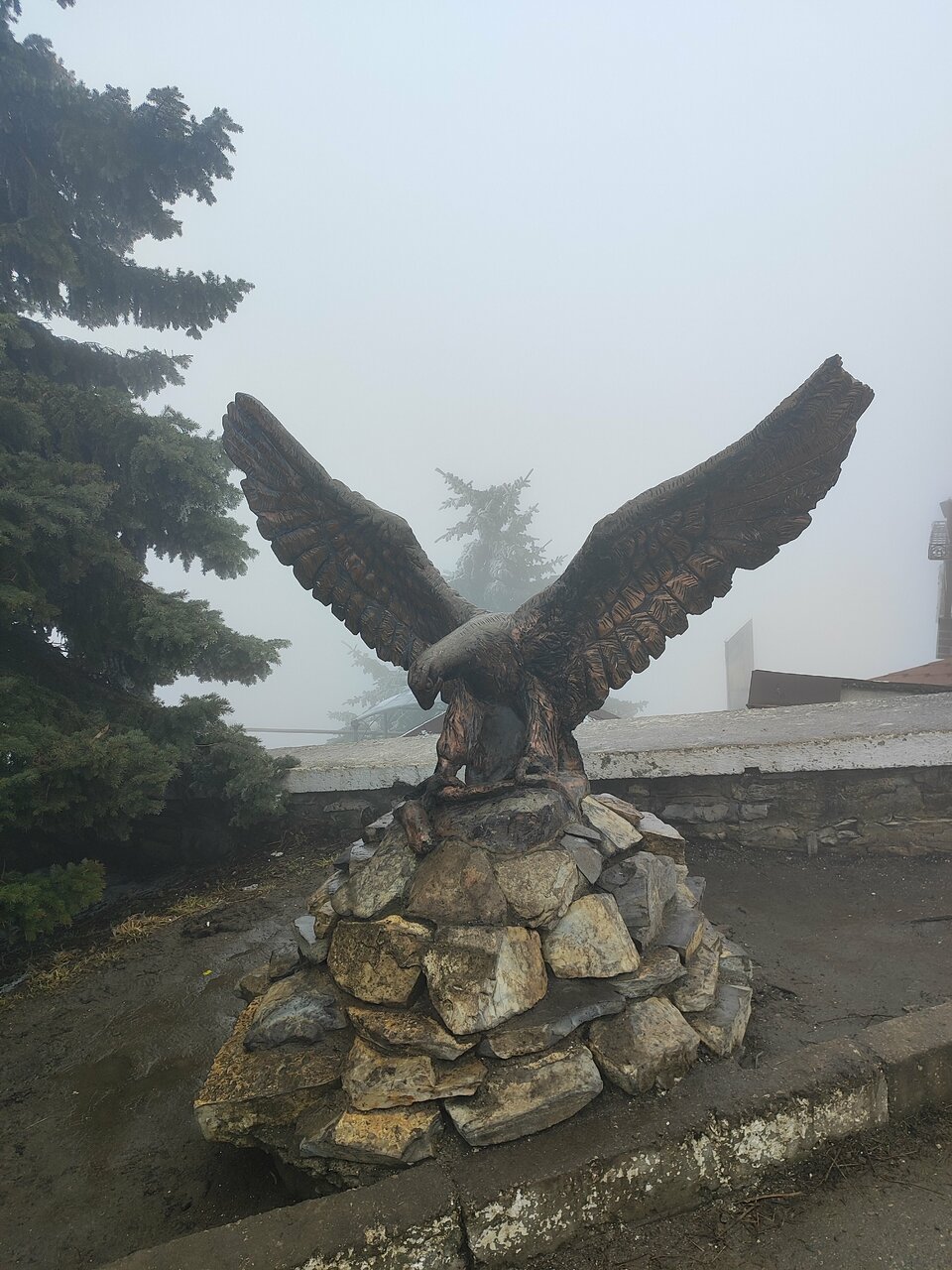 Гостиница Машук Пятигорск-194