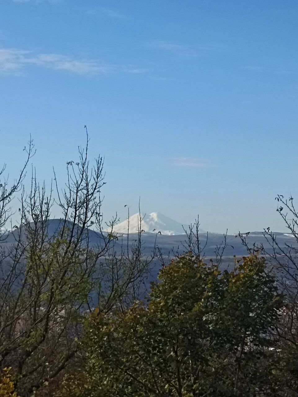 Гостиница Машук Пятигорск-212