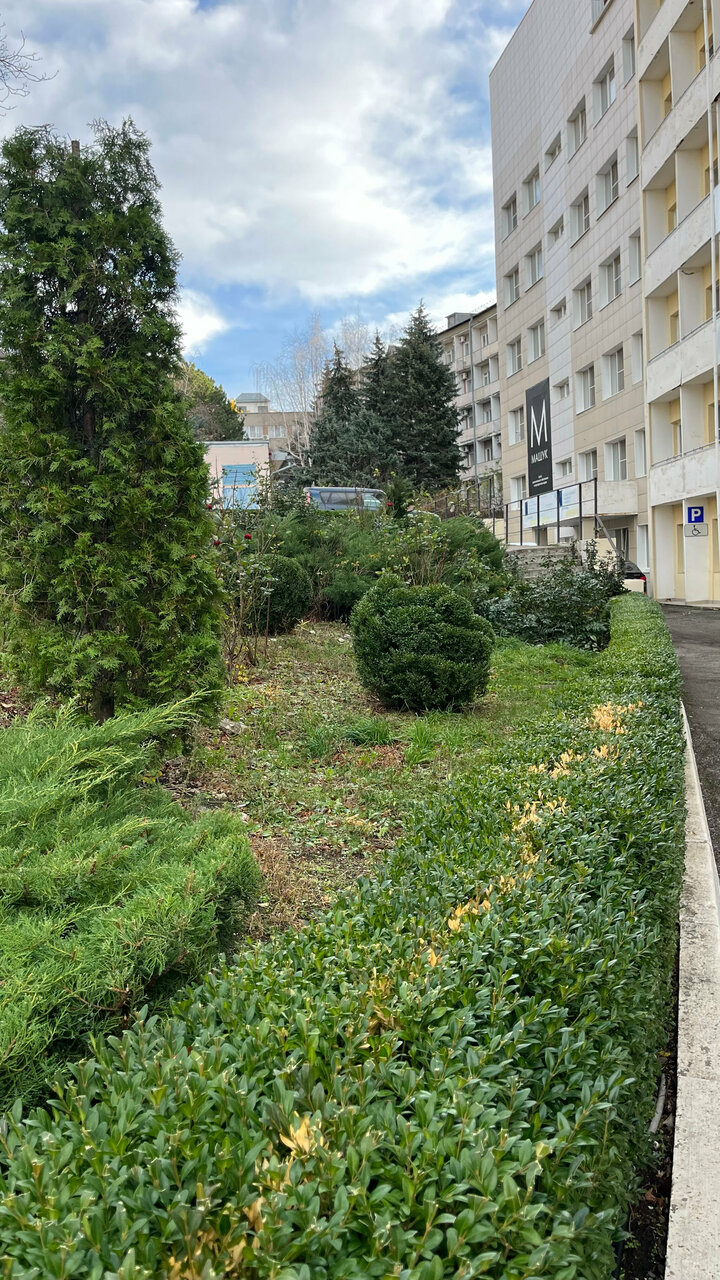 Гостиница Машук Пятигорск-179