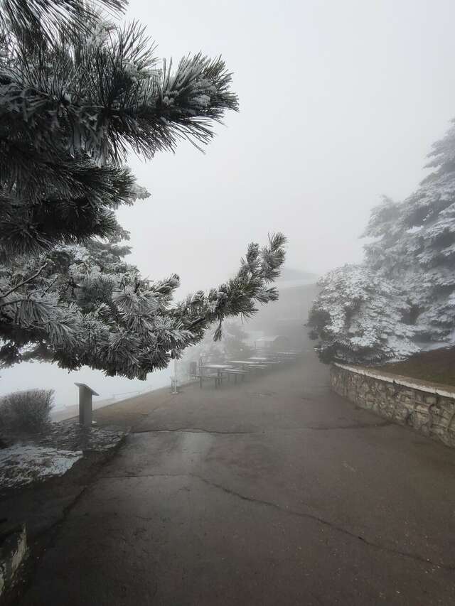 Гостиница Машук Пятигорск-158