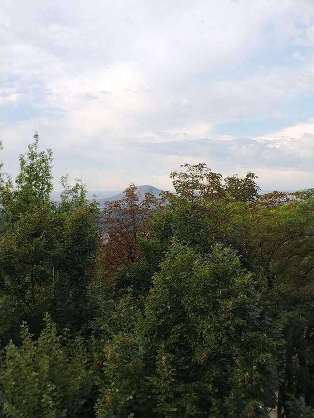 Гостиница Машук Пятигорск-250