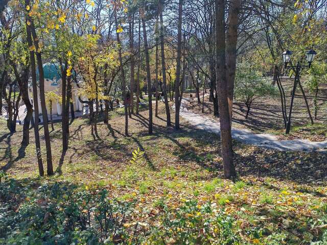 Гостиница Машук Пятигорск-238