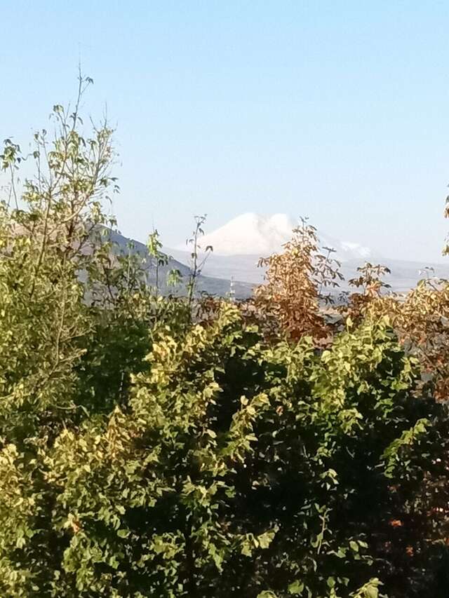 Гостиница Машук Пятигорск-195