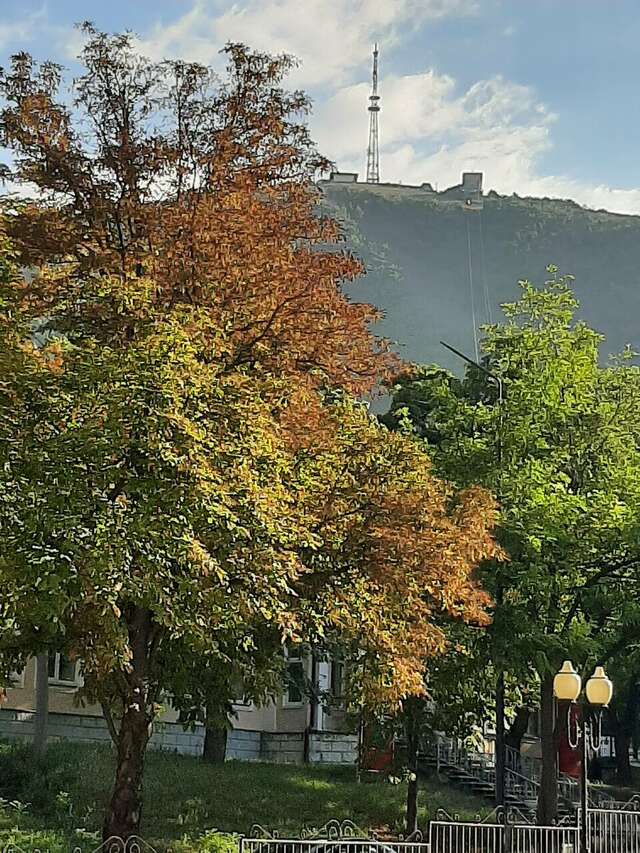 Гостиница Машук Пятигорск-139