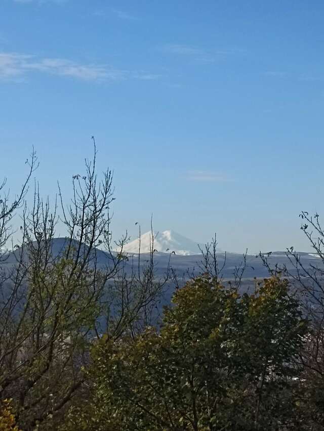 Гостиница Машук Пятигорск-211