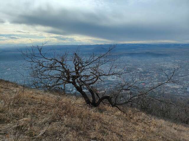 Гостиница Машук Пятигорск-145